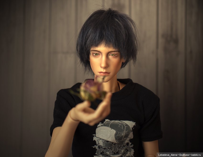 Приручение — Куклы Dollshe Craft (Доллше): BJD (БЖД) (фото 2)