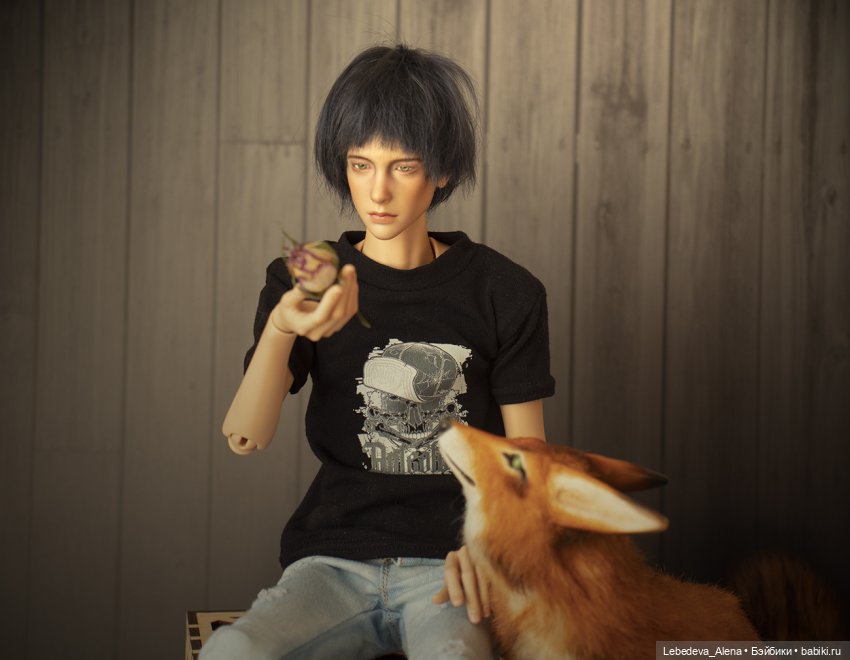 Приручение — Куклы Dollshe Craft (Доллше): BJD (БЖД) (фото 4)