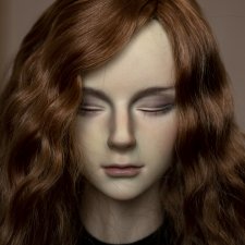 Лис, возвращение