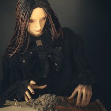 Еще немножко Лиса