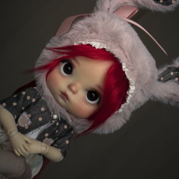 Почем зайцы? Зайцы-выбегайцы