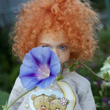 Осенние цветы