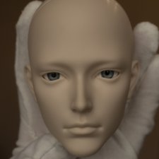 Голова Dollshe Leo ориентал