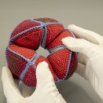 Игрушка антистресс или развивайка
