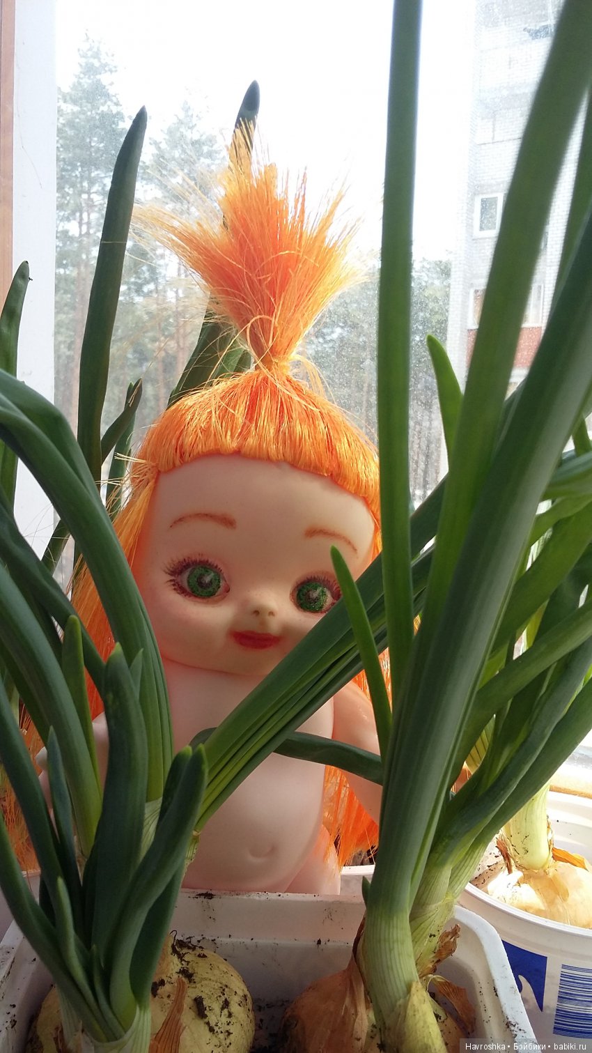 Луковка — Болталка и разговоры обо всем: жизнь (фото 5)