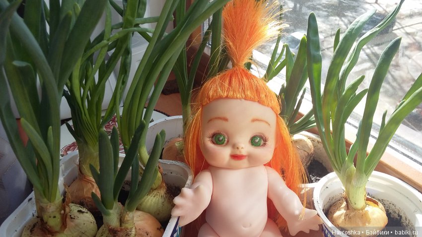 Луковка — Болталка и разговоры обо всем: жизнь (фото 6)