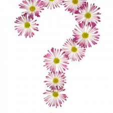 А вдруг повезет