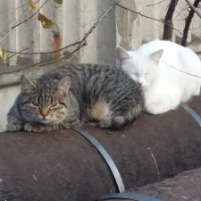 Давайте выдохнем