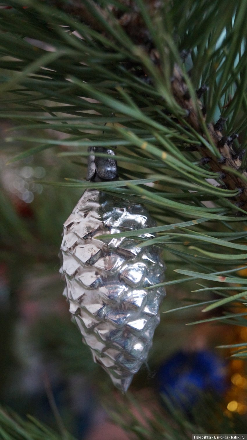 Ёлочный микс — Болталка и разговоры обо всем: жизнь (фото 5)