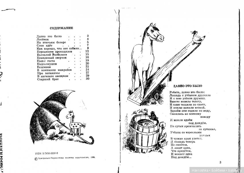 Как хорошо, что нет собаки (фото 3)