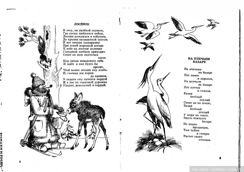 Как хорошо, что нет собаки (фото 4)