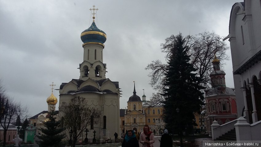 Спасибо, дорогие мои москвичи (фото 5)