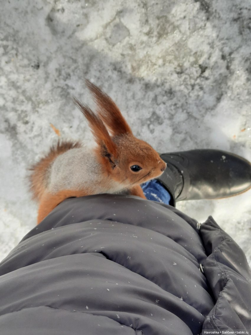 Уже взрослая девочка | Бэйбики Уже взрослая девочка — Болталка и разговоры обо всем: жизнь (фото 3)