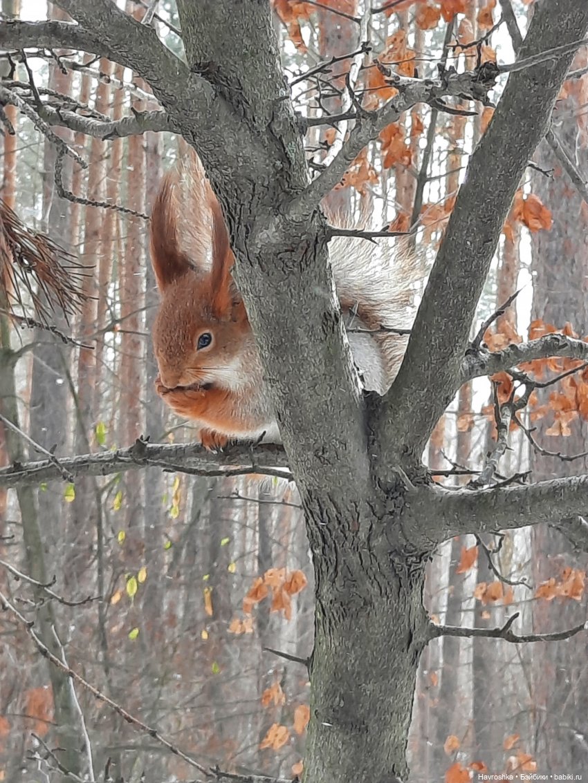Уже взрослая девочка | Бэйбики Уже взрослая девочка — Болталка и разговоры обо всем: жизнь (фото 2)