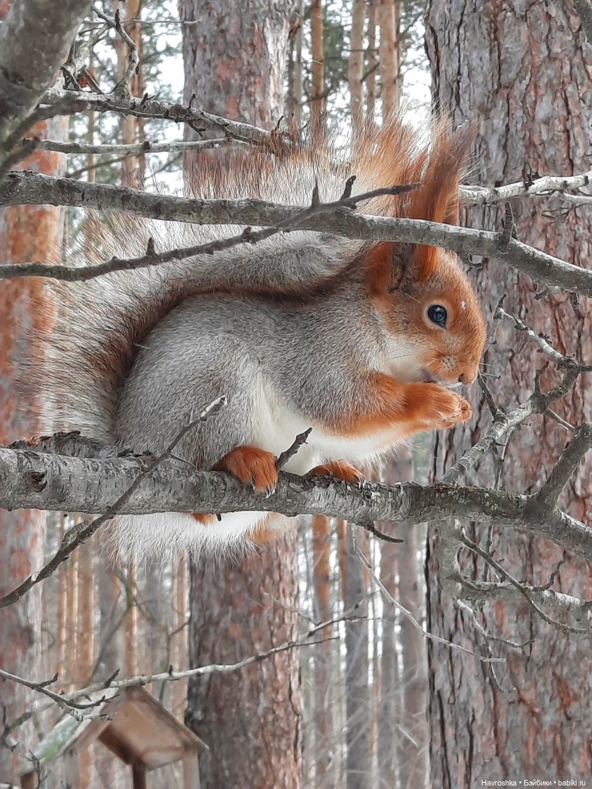 Уже взрослая девочка | Бэйбики Уже взрослая девочка — Болталка и разговоры обо всем: жизнь
