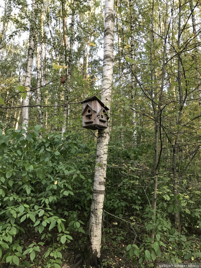 Воскресная прогулка с плюшечками от Heidi Plusczok (фото 8)