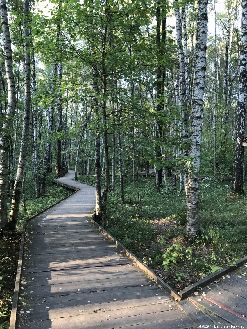 Воскресная прогулка с плюшечками от Heidi Plusczok (фото 6)