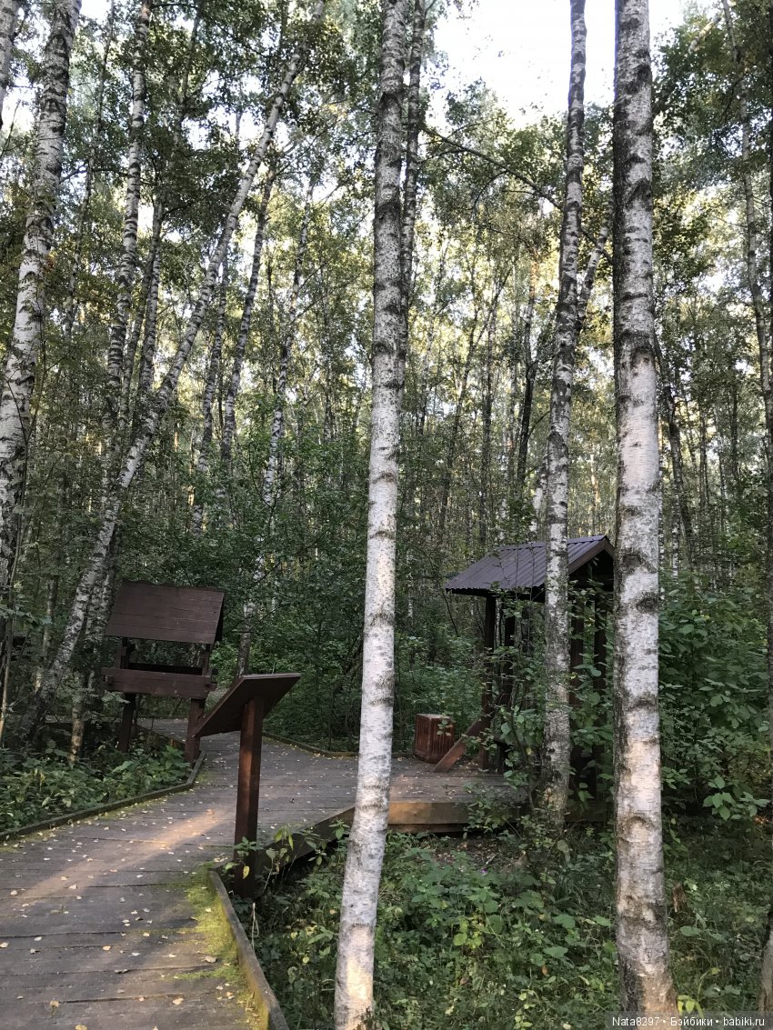 Воскресная прогулка с плюшечками от Heidi Plusczok