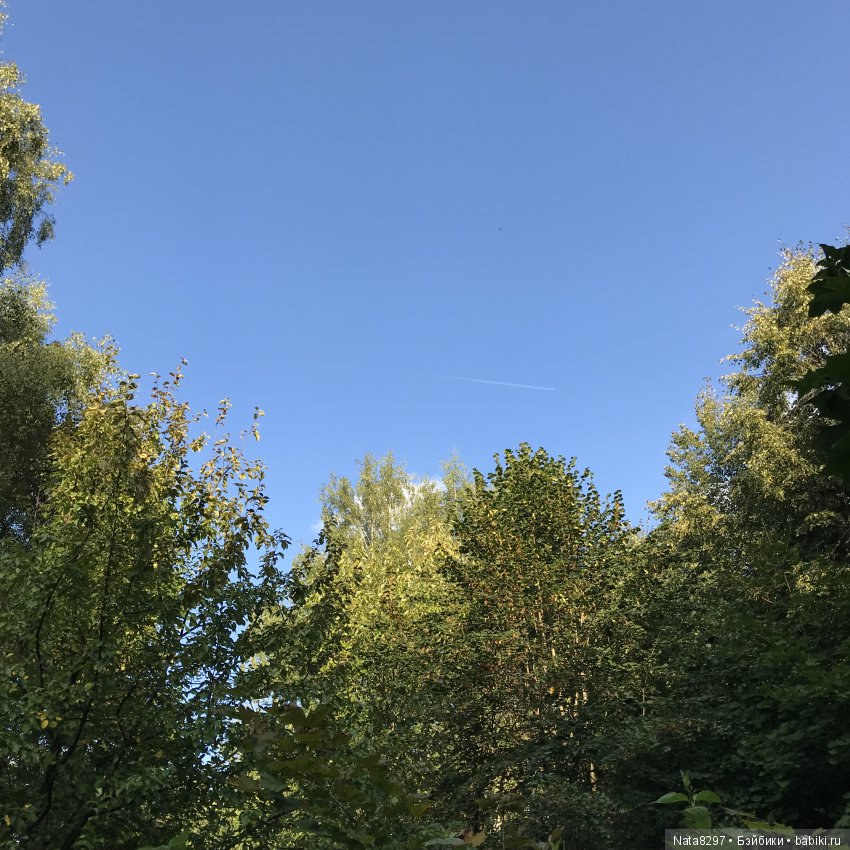 Воскресная прогулка с плюшечками от Heidi Plusczok