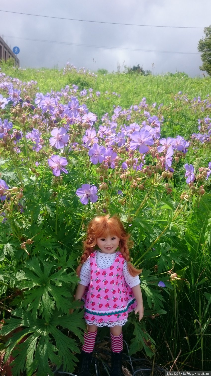 Каникулы плюшечек Heidi Plusczok прошлым летом