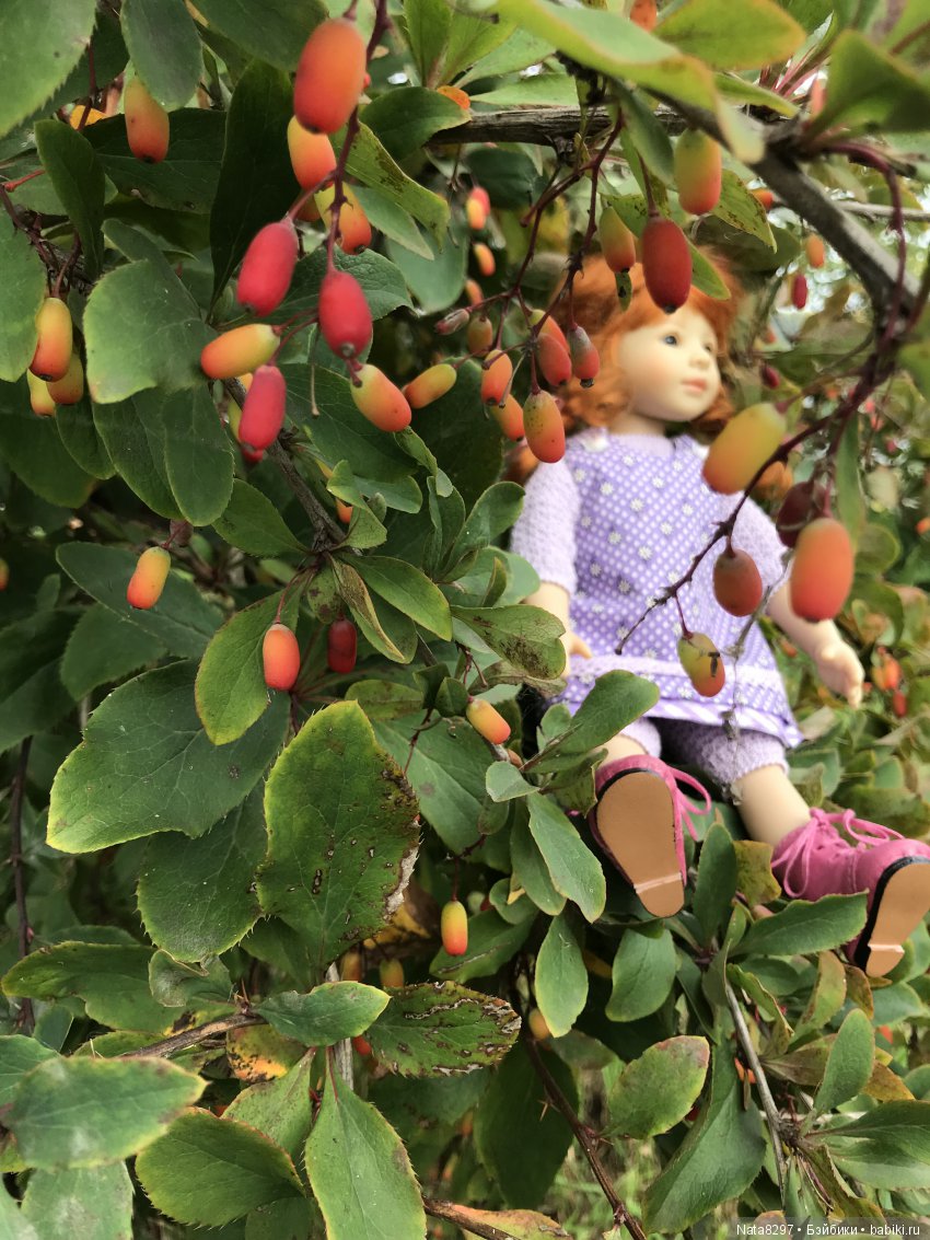 Дорис от Heidi Plusczok в осенний день на Волге