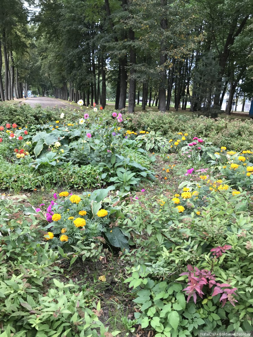 Дорис от Heidi Plusczok в осенний день на Волге