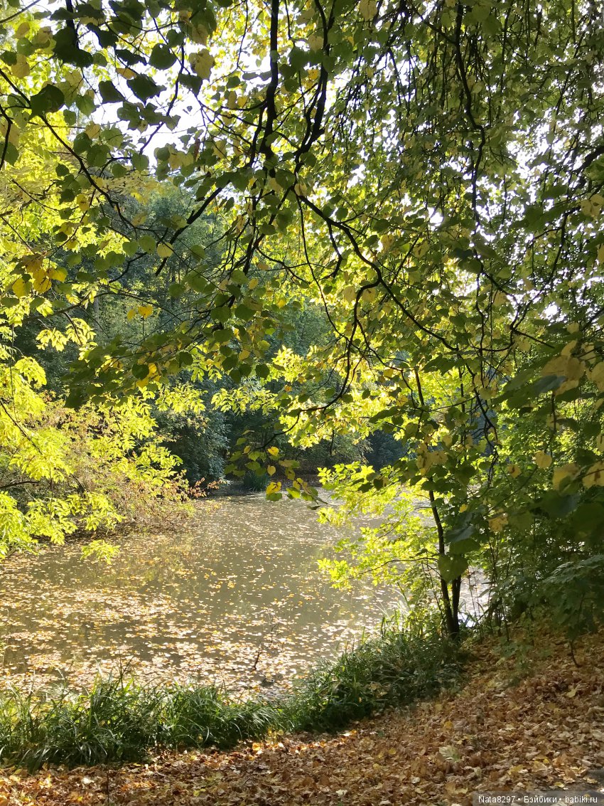 Плюшечки от Heidi Plusczok в Нескучном саду