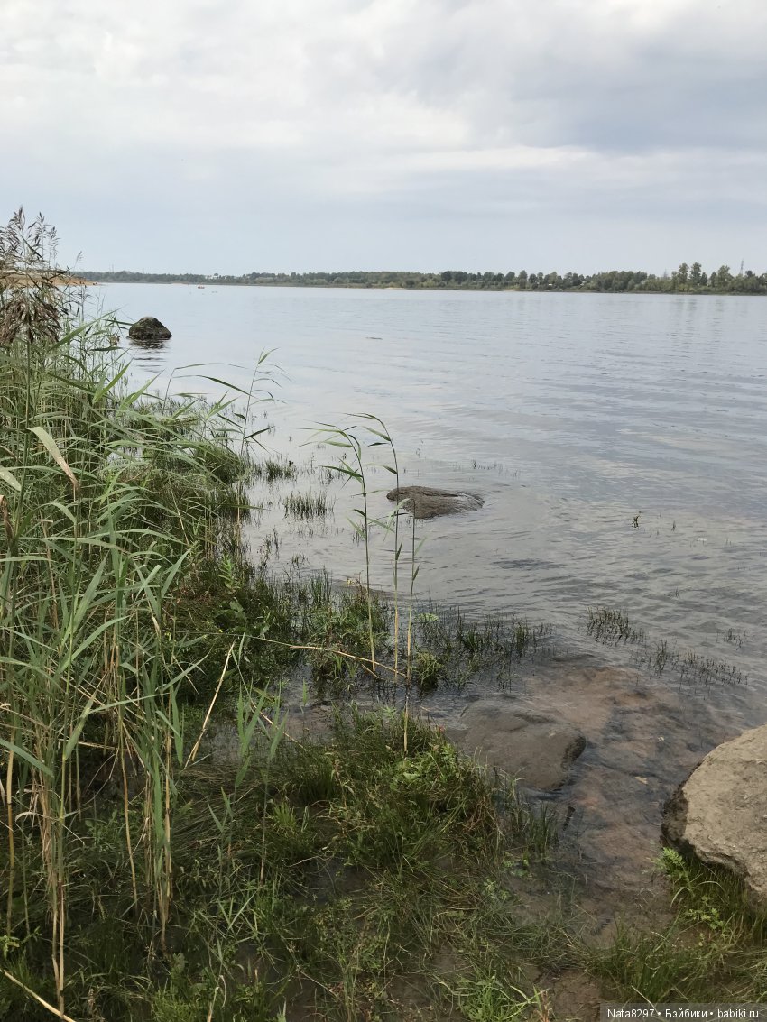 Дорис от Heidi Plusczok в осенний день на Волге