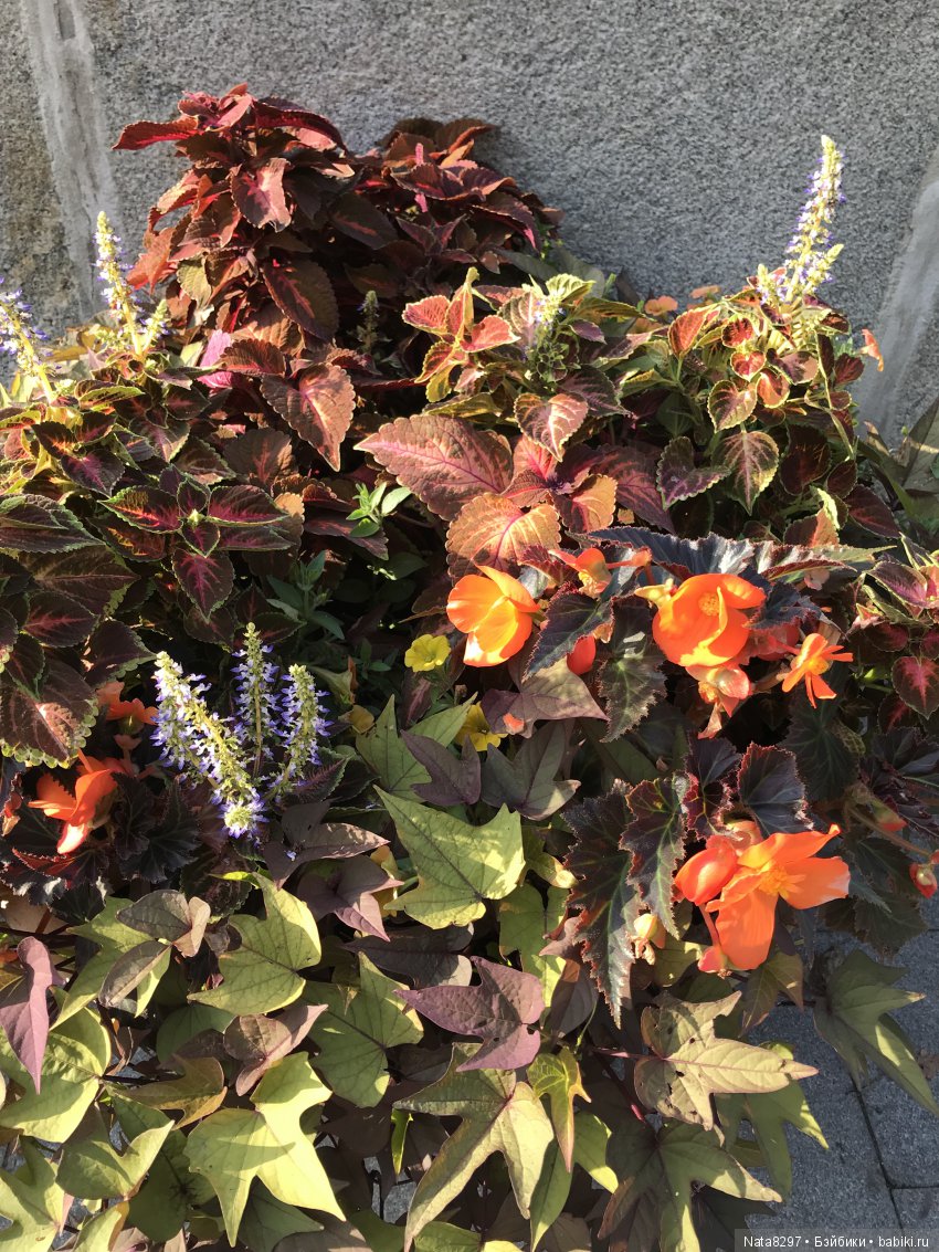 Плюшечки от Heidi Plusczok в Нескучном саду