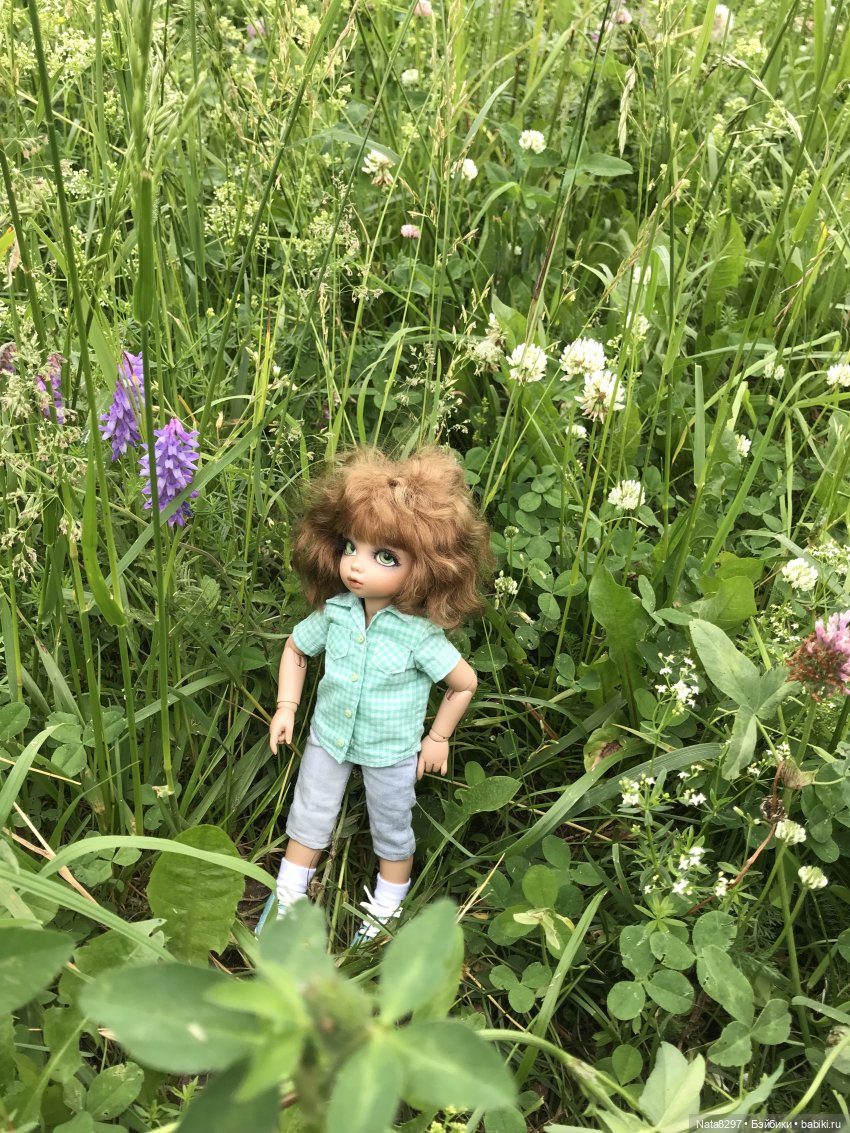 Прогулка с Питером перед дождём