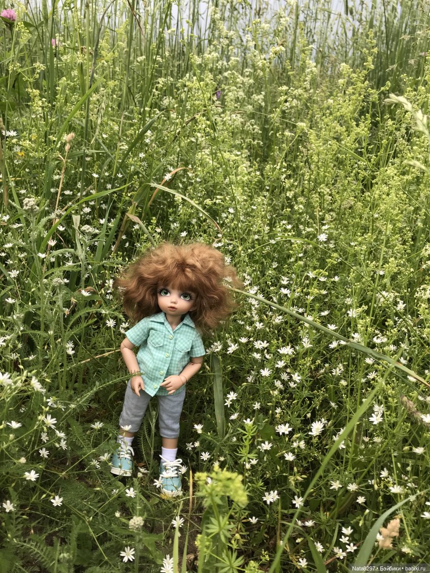 Прогулка с Питером перед дождём