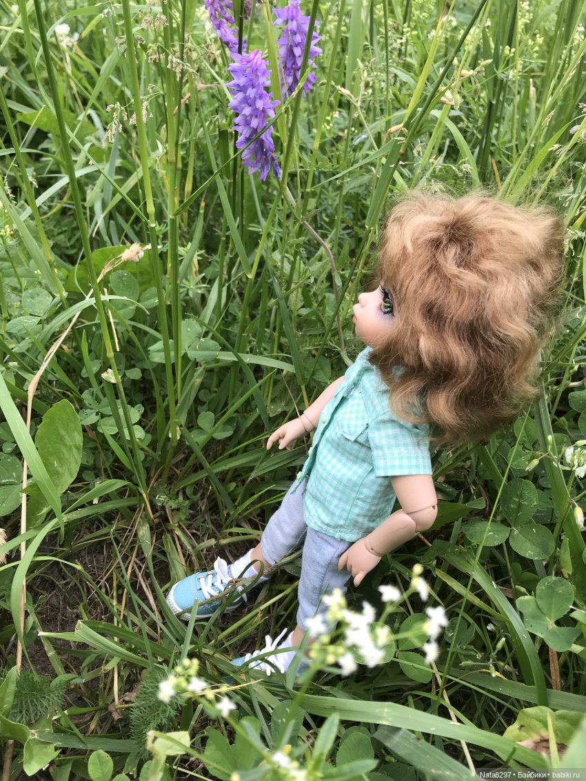 Прогулка с Питером перед дождём