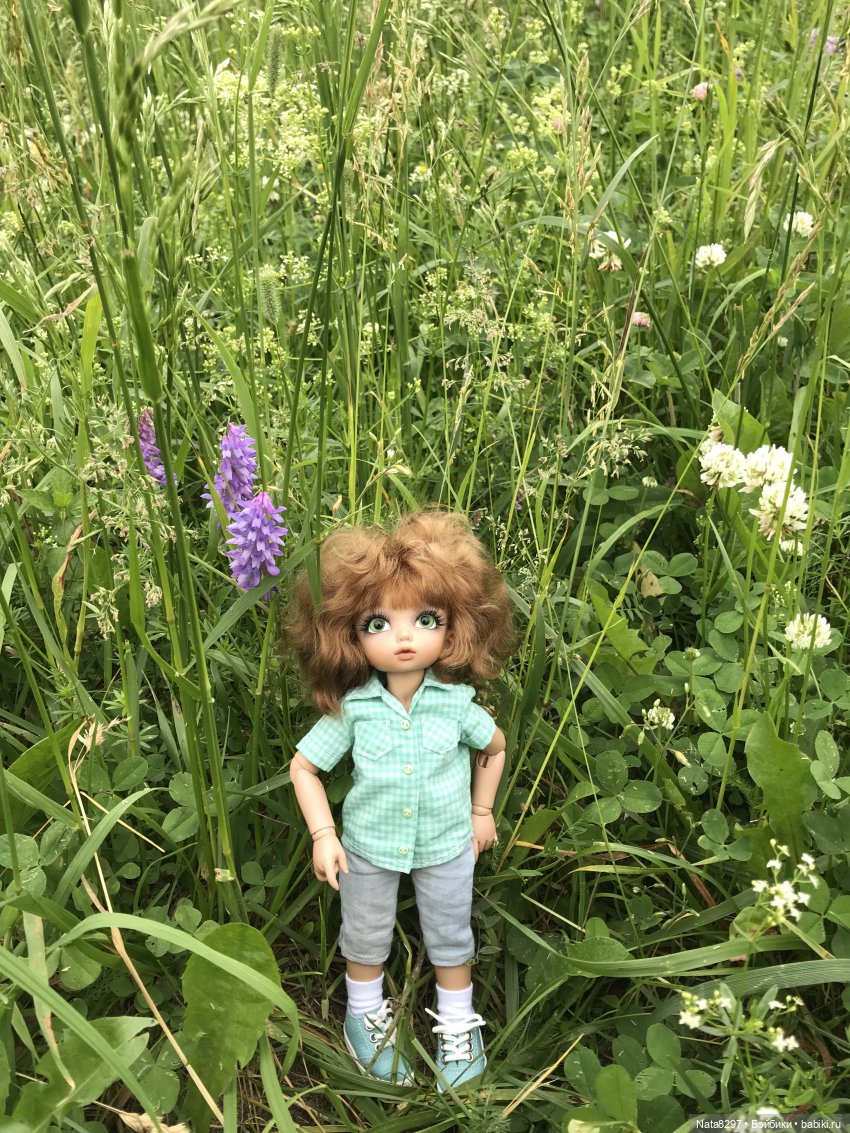 Прогулка с Питером перед дождём (фото 10)