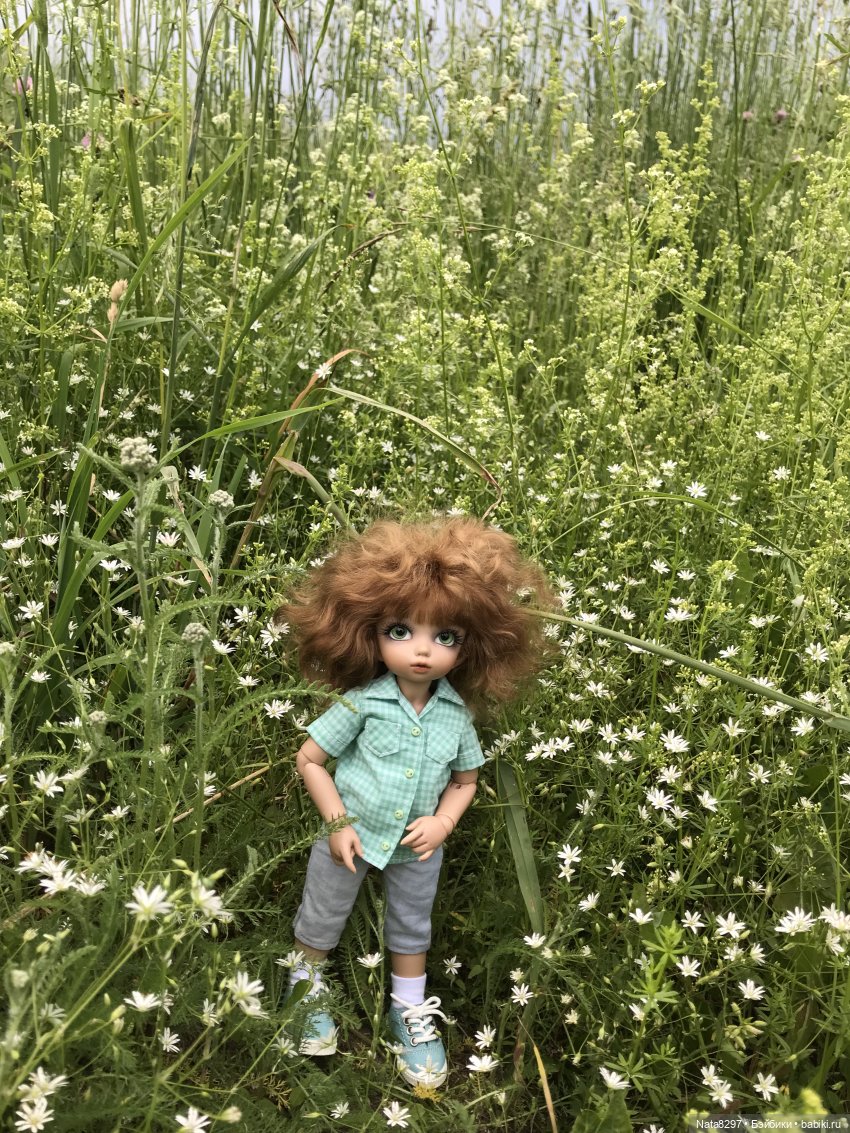 Прогулка с Питером перед дождём