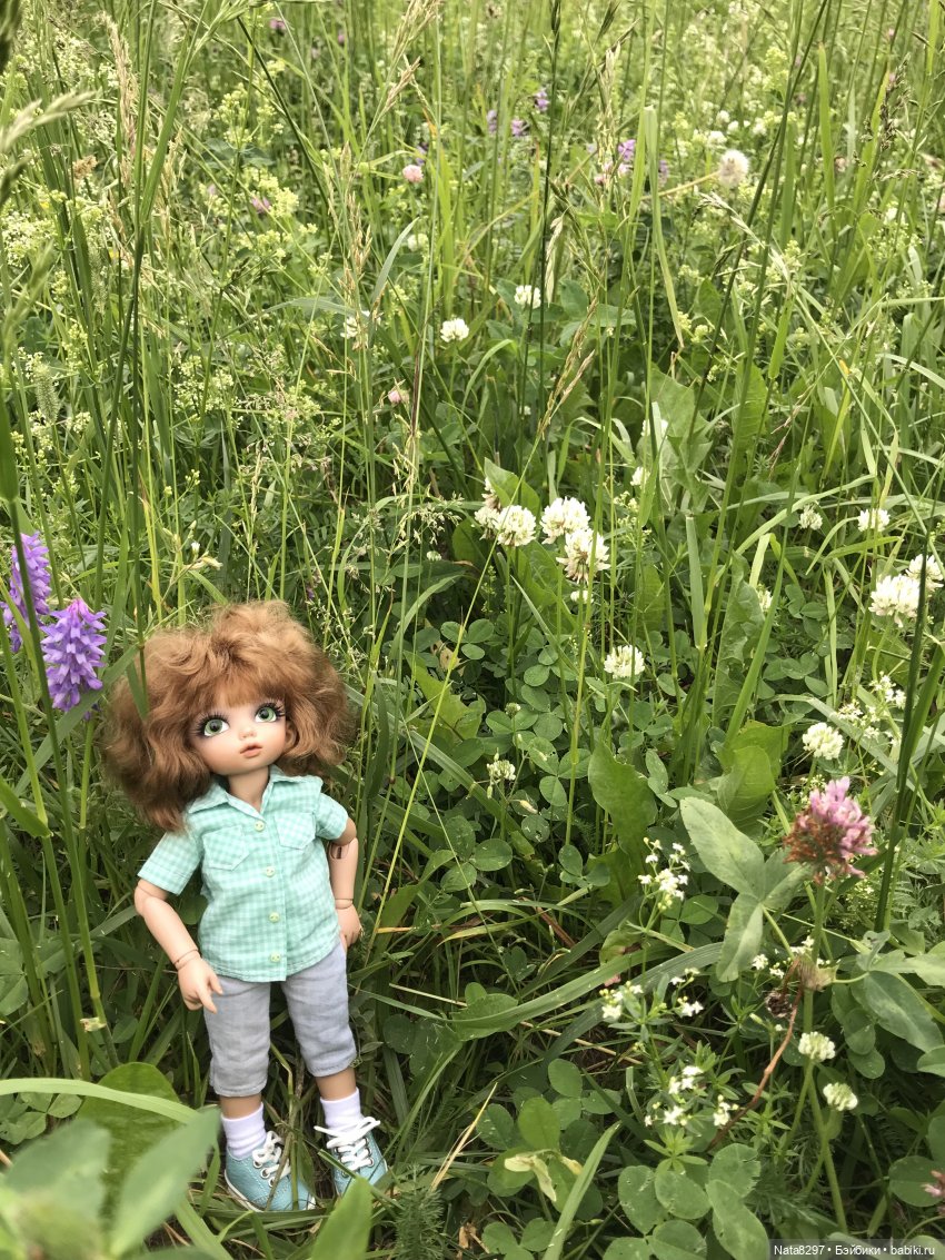 Прогулка с Питером перед дождём