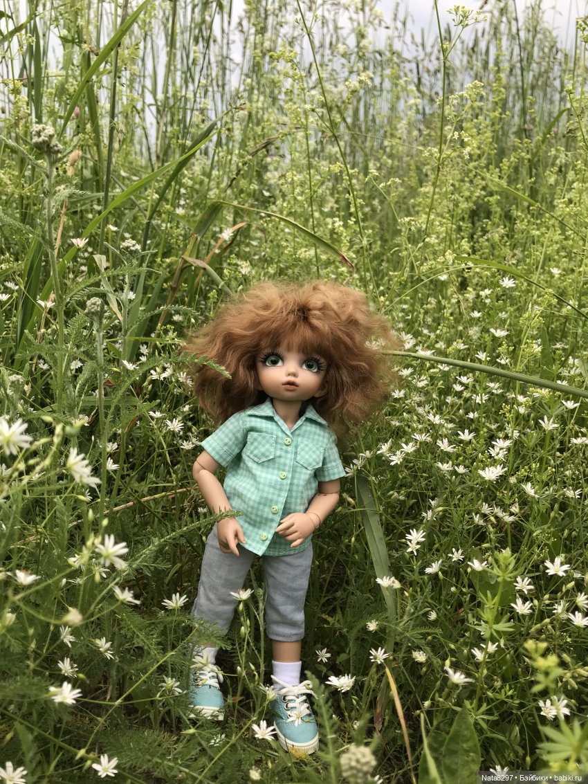 Прогулка с Питером перед дождём