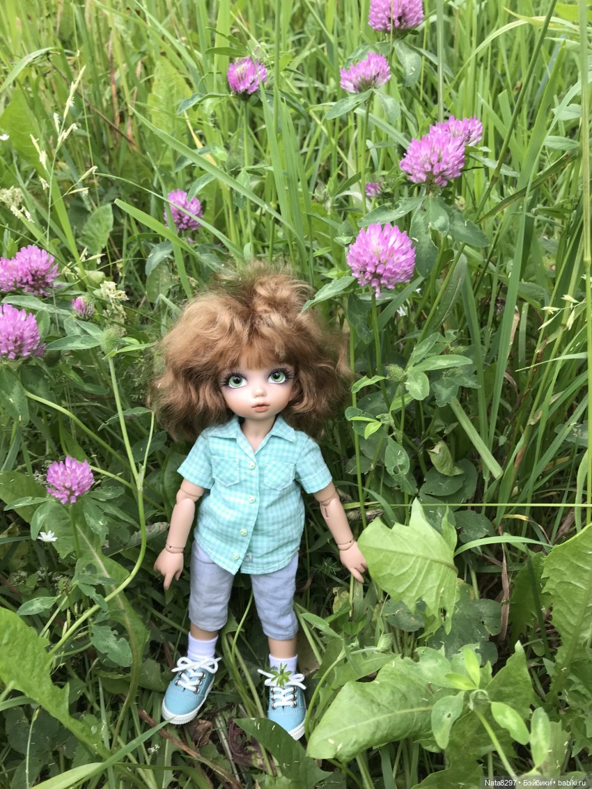 Прогулка с Питером перед дождём (фото 8)