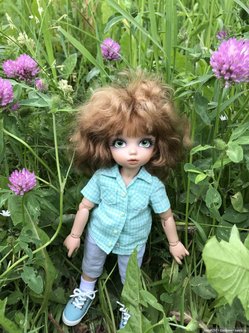 Прогулка с Питером перед дождём (фото 7)