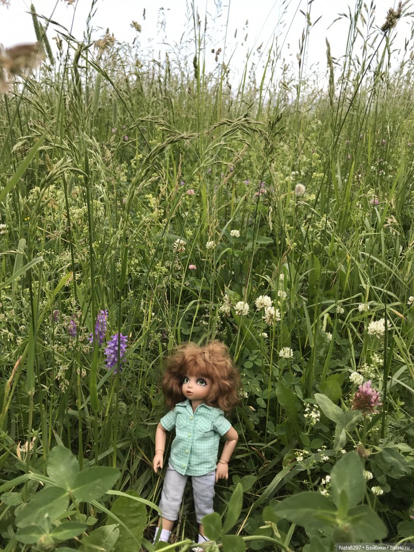 Прогулка с Питером перед дождём