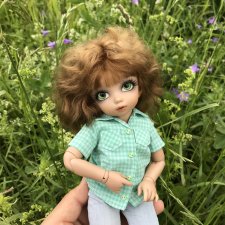 Прогулка с Питером перед дождём