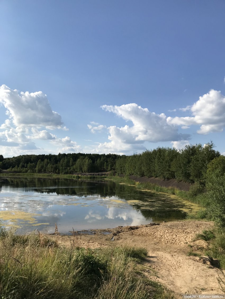 Принцесса сказочной страны, Little Darling Shiloh. Памяти Дианы Эффнер посвящается