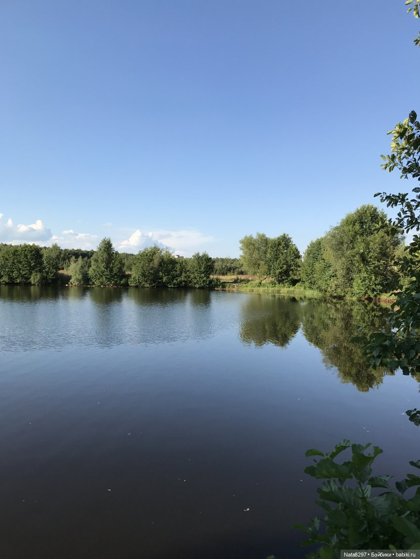 Принцесса сказочной страны, Little Darling Shiloh. Памяти Дианы Эффнер посвящается