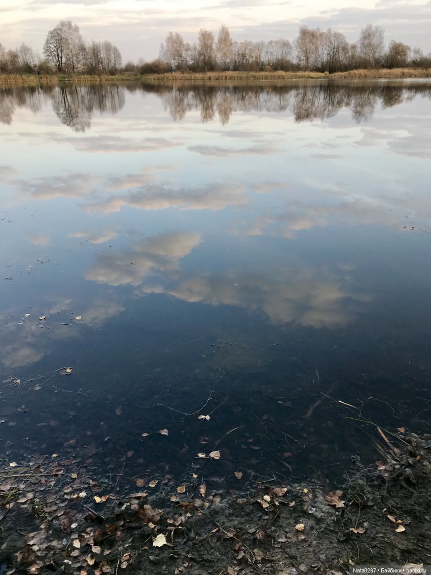 Октябрьские этюды. Прогулка с Зоей от Heidi Plusczok в последний день октября