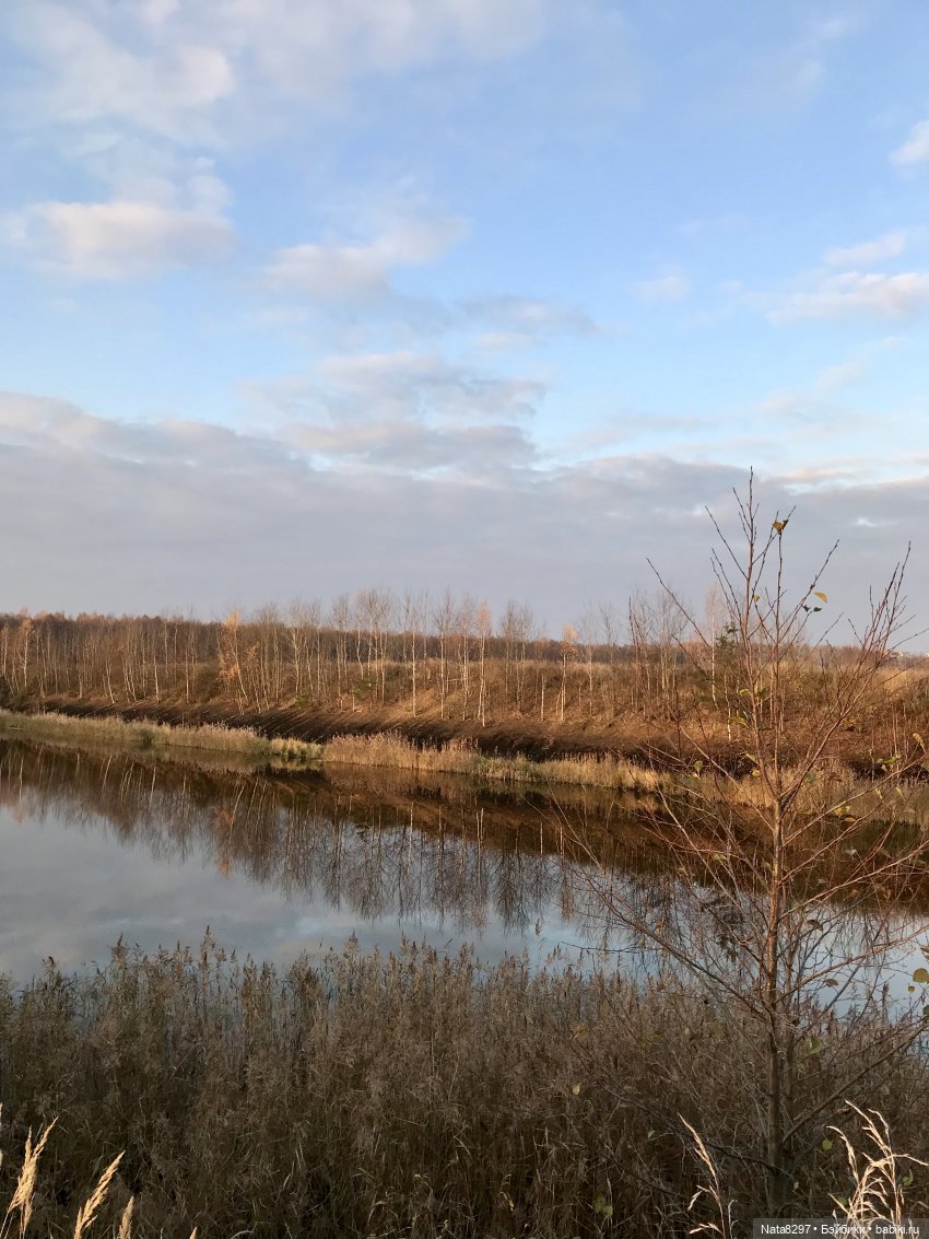 Октябрьские этюды. Прогулка с Зоей от Heidi Plusczok в последний день октября