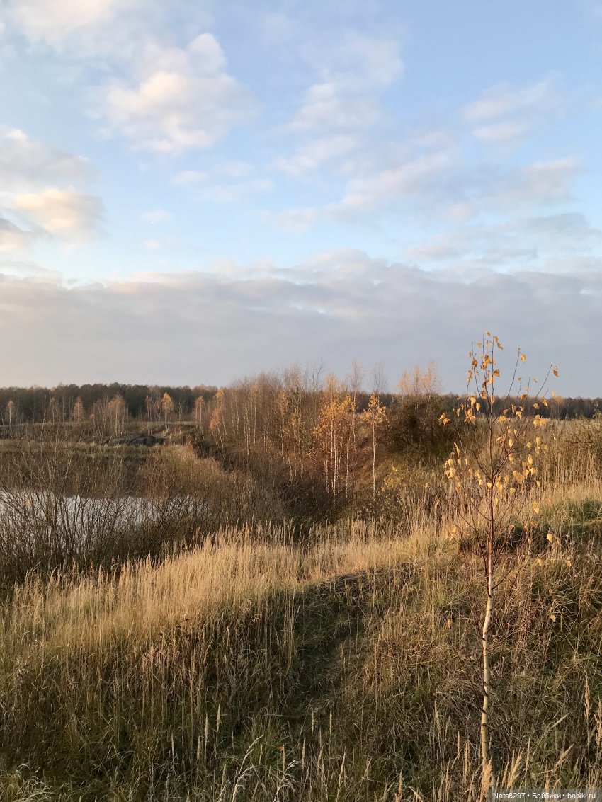 Октябрьские этюды. Прогулка с Зоей от Heidi Plusczok в последний день октября (фото 2)