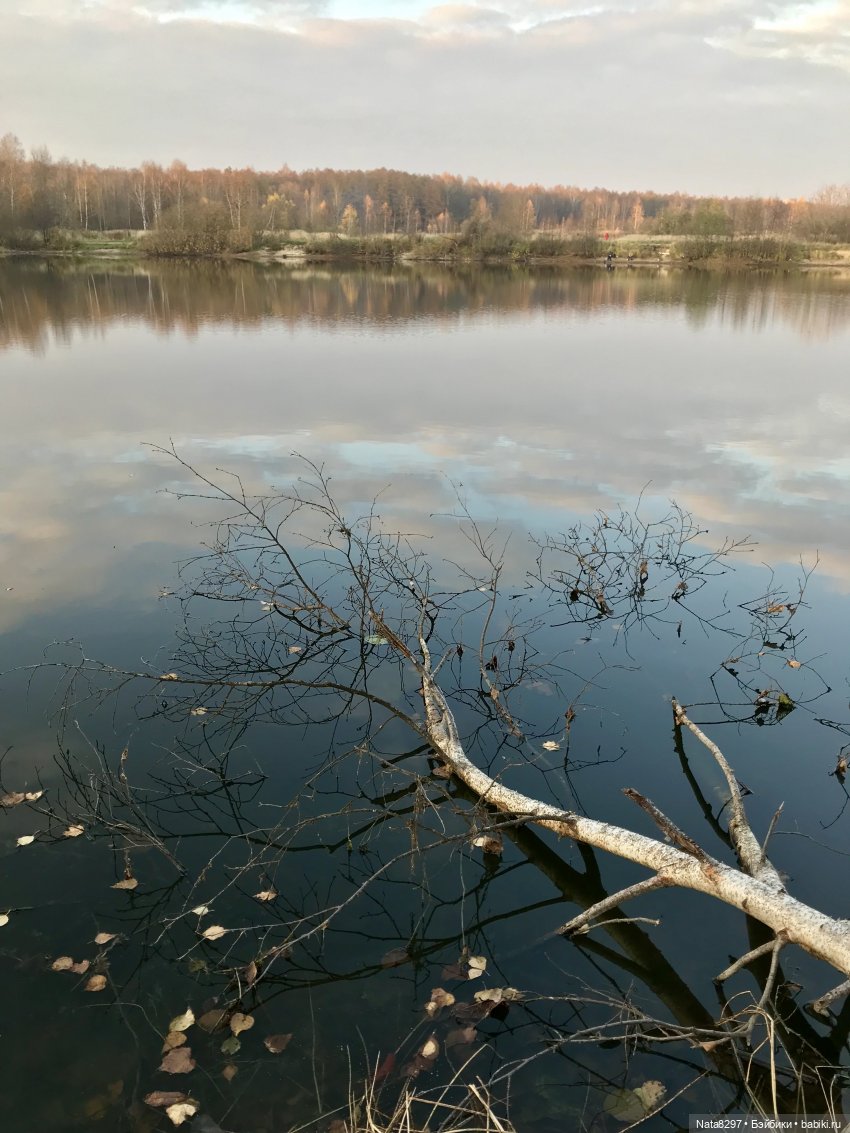 Октябрьские этюды. Прогулка с Зоей от Heidi Plusczok в последний день октября