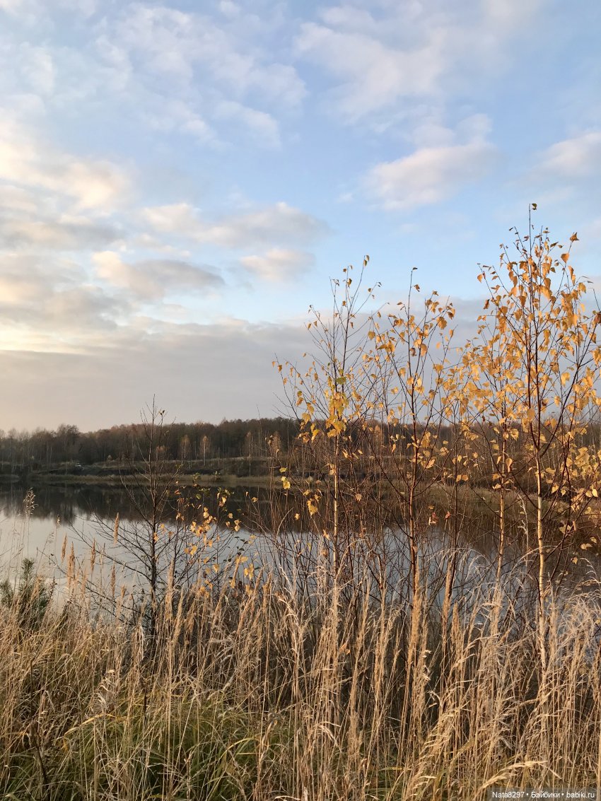 Октябрьские этюды. Прогулка с Зоей от Heidi Plusczok в последний день октября