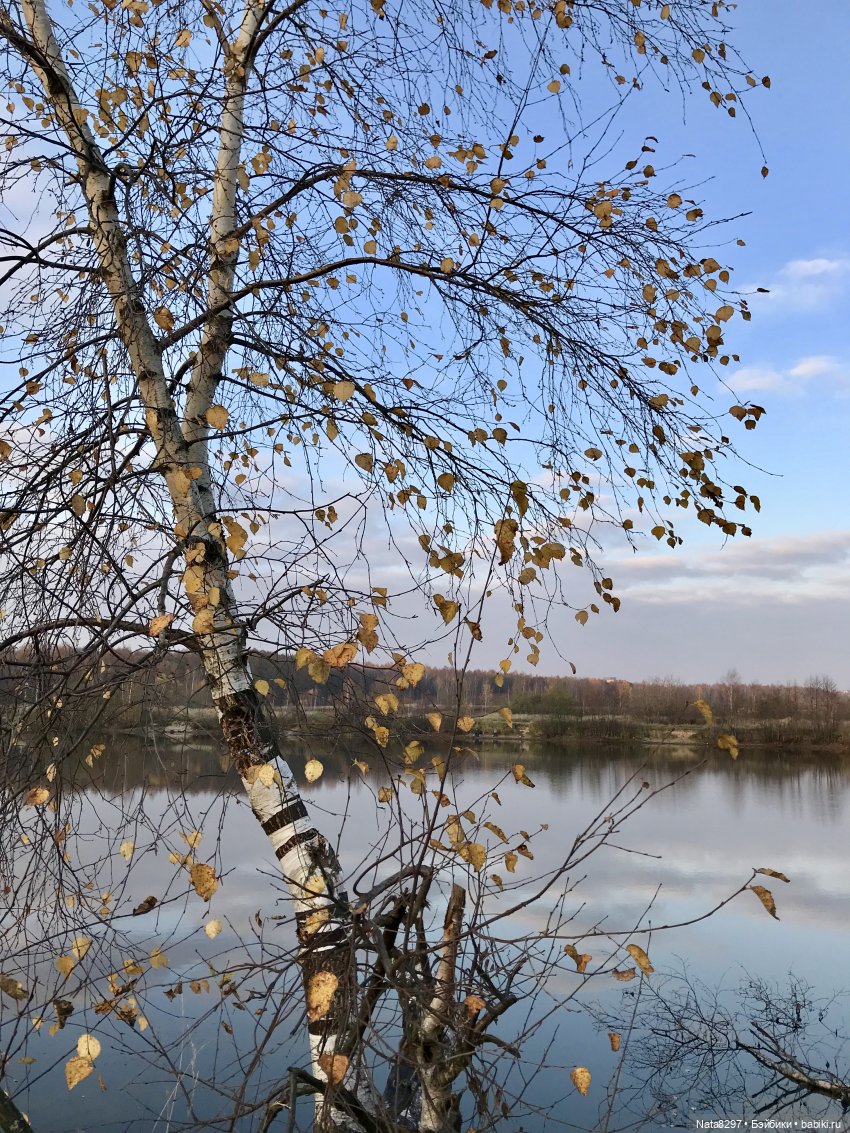 Октябрьские этюды. Прогулка с Зоей от Heidi Plusczok в последний день октября