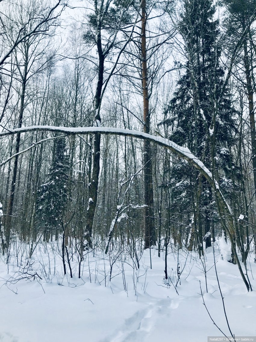 Прогулка по зимнему лесу с Хайке от Heidi Plusczok | Бэйбики Прогулка по зимнему лесу с Хайке от Heidi Plusczok (фото 2)