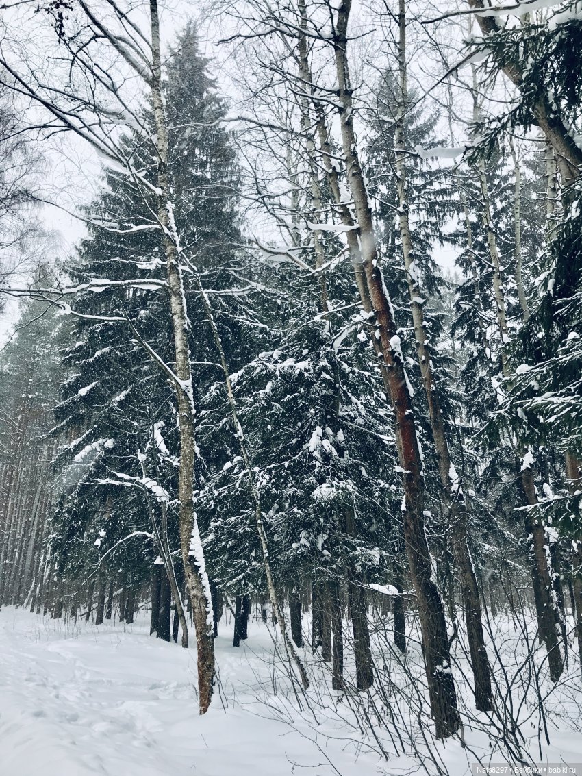 Прогулка по зимнему лесу с Хайке от Heidi Plusczok | Бэйбики Прогулка по зимнему лесу с Хайке от Heidi Plusczok (фото 3)